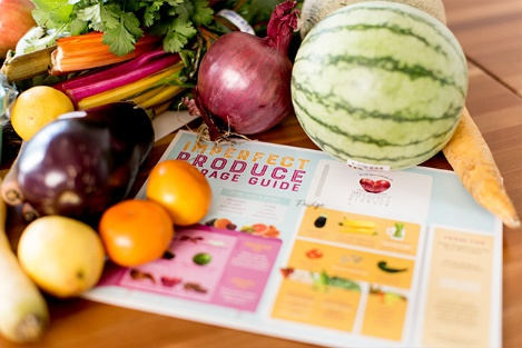 Imperfect Produce brochure surrounded with fruits and vegetables.